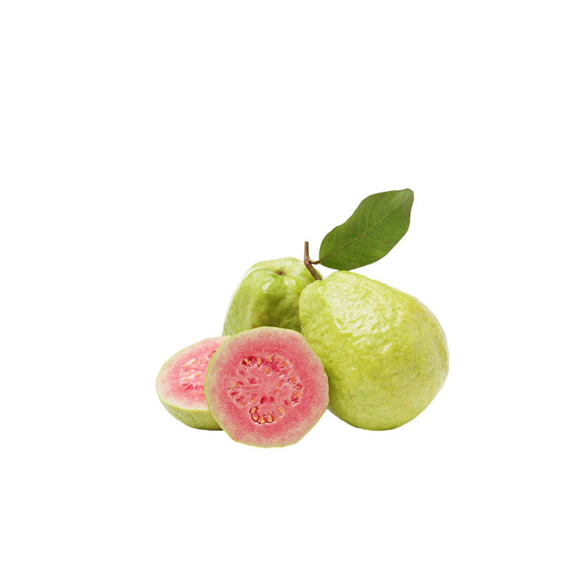 Guava Vietnam 1 Pack