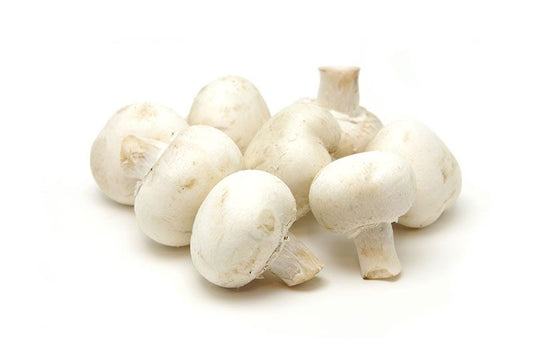 Button Mushroom Oman 1 Pack