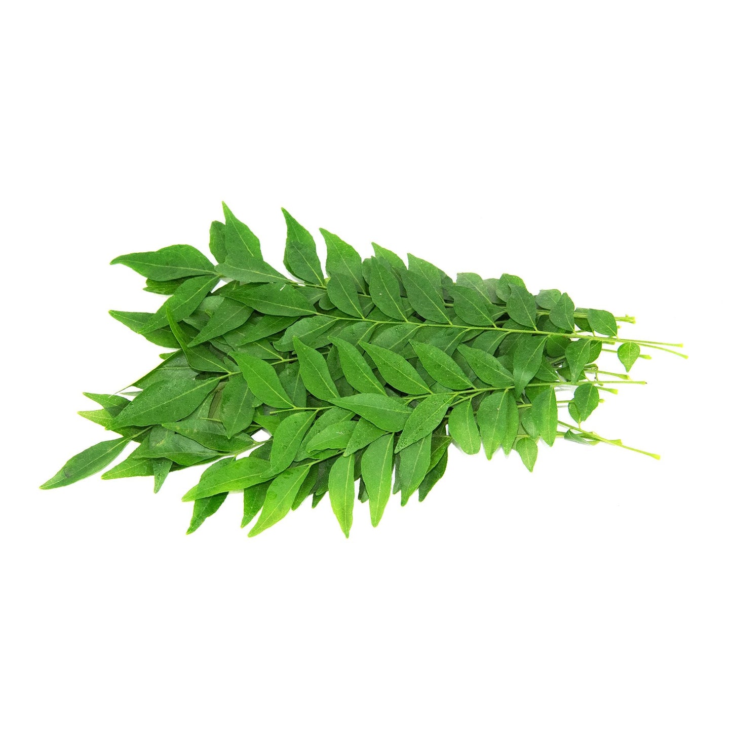 Curry Leaves, 1 Pack