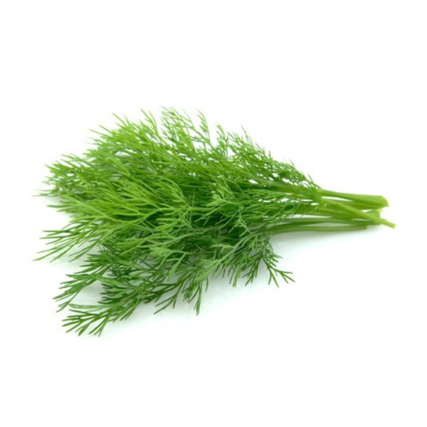 Dill Leaves UAE 1 Bunch