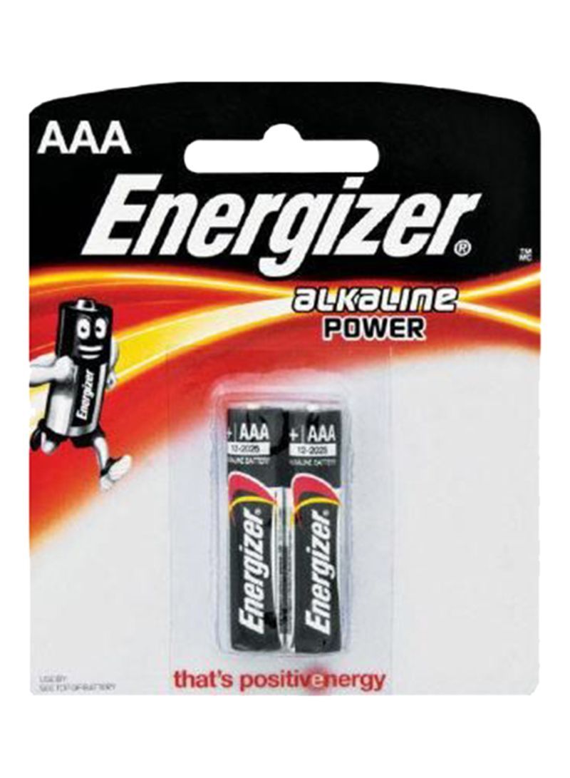 Energizer Alkaline AAA Power Batteries, 2 Pieces