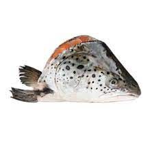 Fresh Salmon Fish Head, 500g