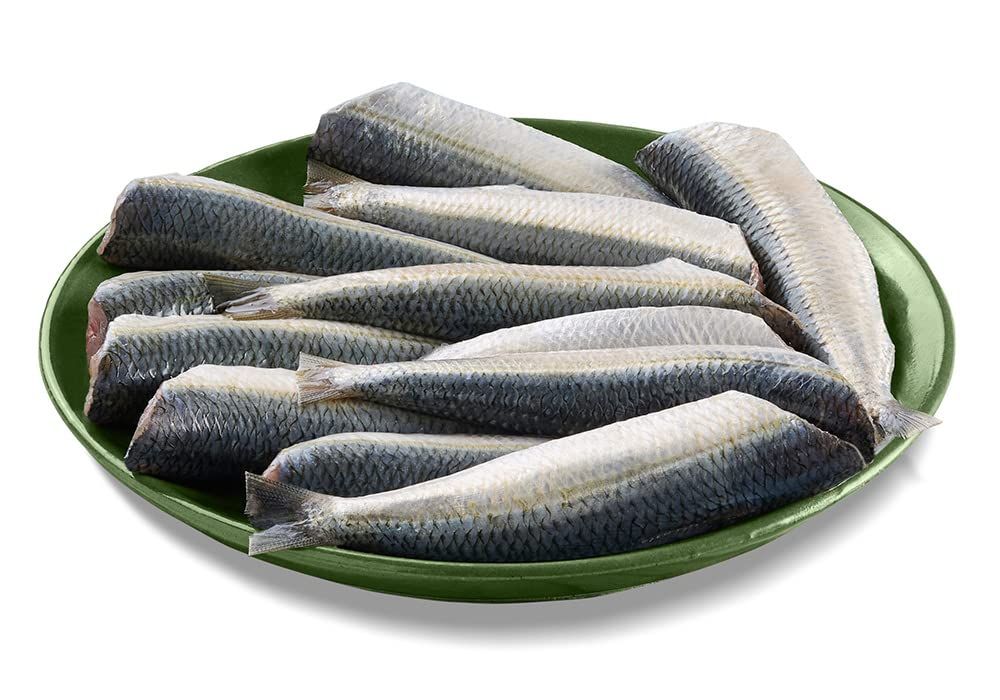 Fresh Sardines Mathi Small Local, 1kg