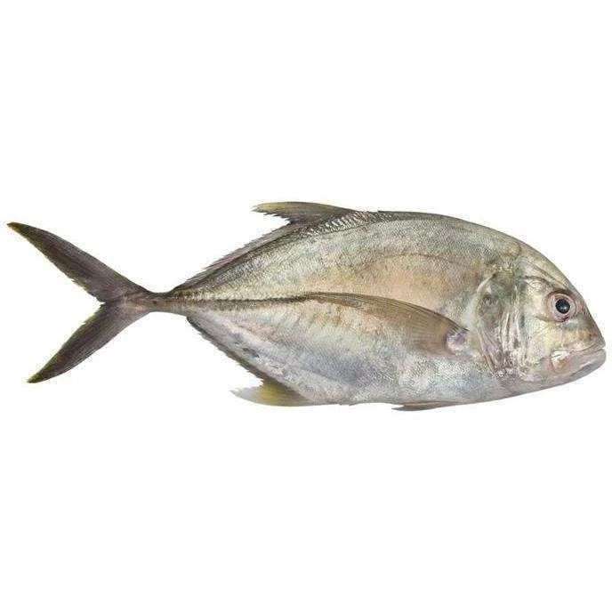 Fresh Jesh Fish, 250g