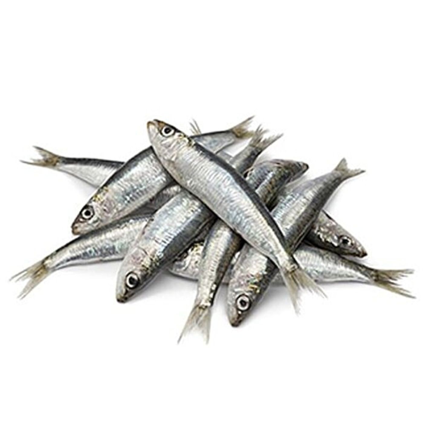 Fresh Sardine, 250g