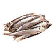 Fresh Whole Anchovies 500g/Natholi