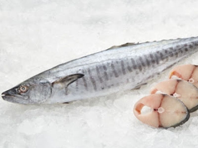 King Fish Small