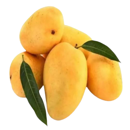 Mango Badami - India, 900-1100g