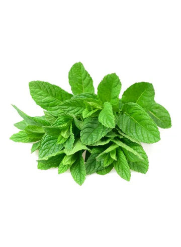 Mint Leaves 1 Bunch