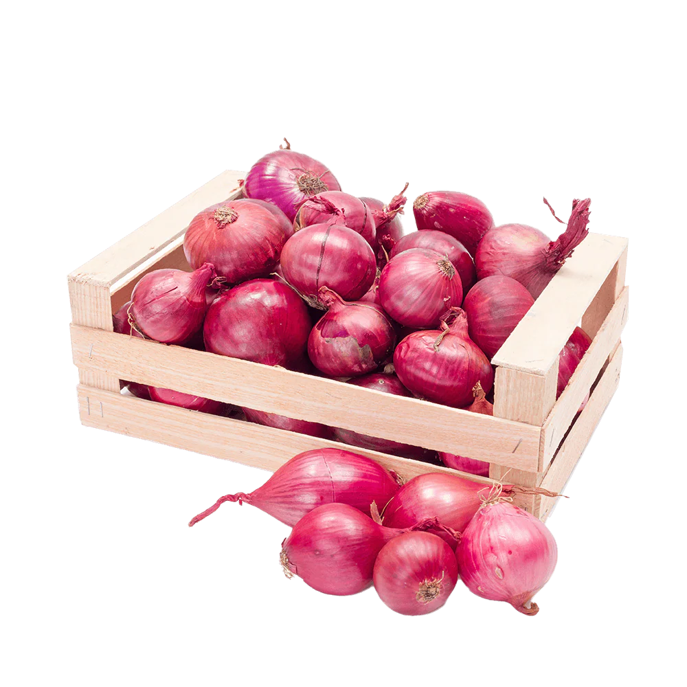 Onion Box India 19kg
