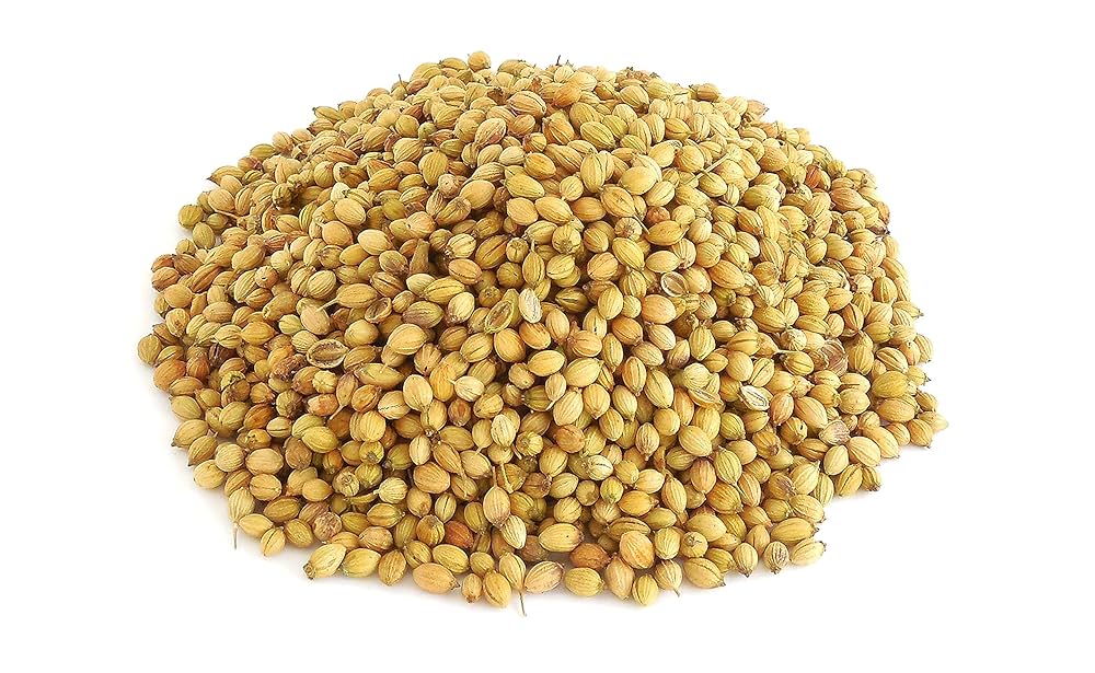 Organic Spices Coriander Seed, 100g