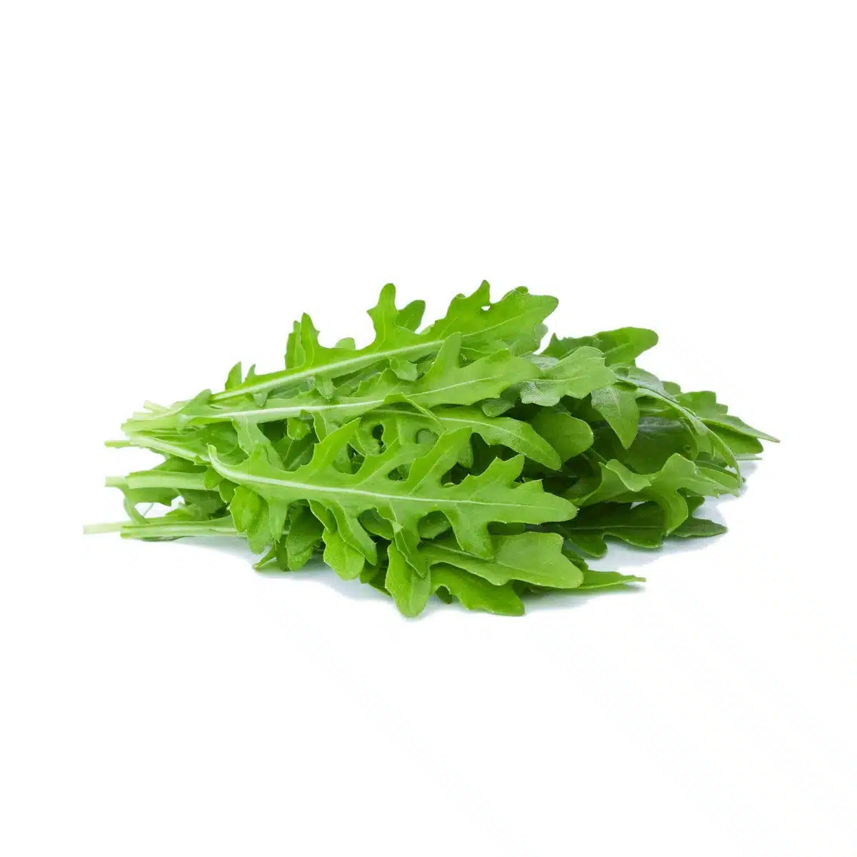 Fresh Jerjeer Leaves
