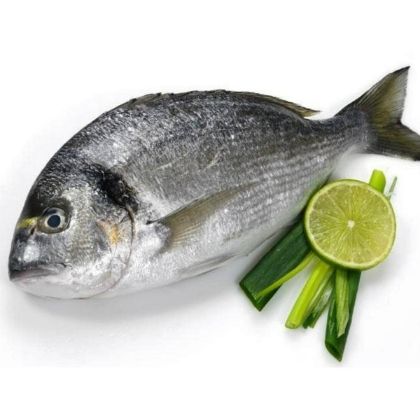 Sea Bream Fish 1kg