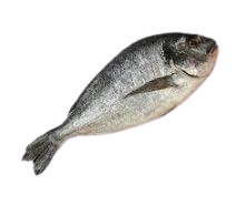 Small Sea Bream Fish Cleaned