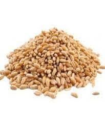 Wheat, 1kg