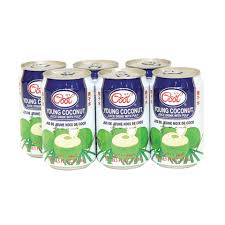 Ice Cool Young Coconut Juice 6X310ml