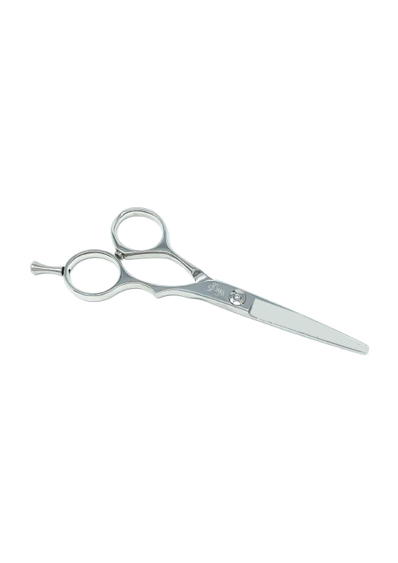Scissor Stainless Steel, 4.5 Inches