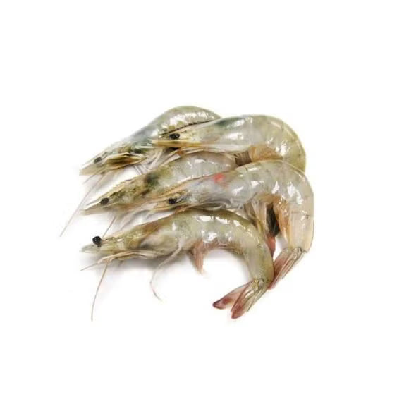 fresh shrimp 30/40 small 1kg