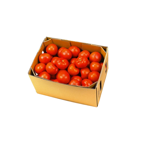 Tomato Cartoon, 1 Cartoon
