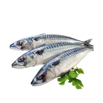 Fresh Neymeen Fish, 1kg