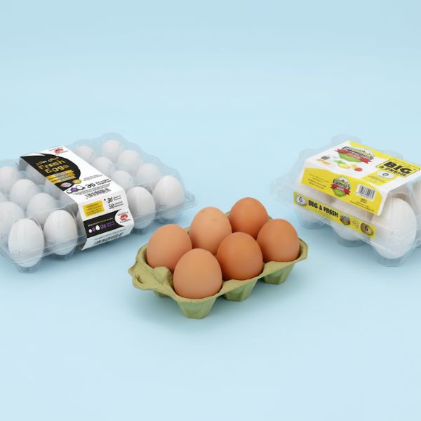 eggs