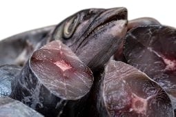King Fish 1kg - 2kg