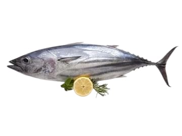 Tuna Fish UAE