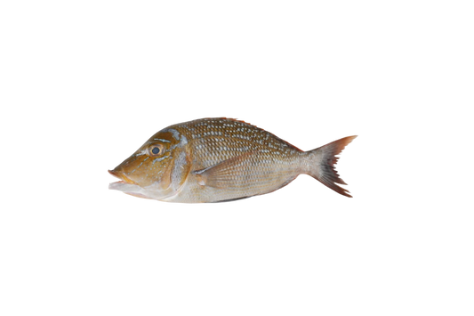 Emperor Fish Cleaned