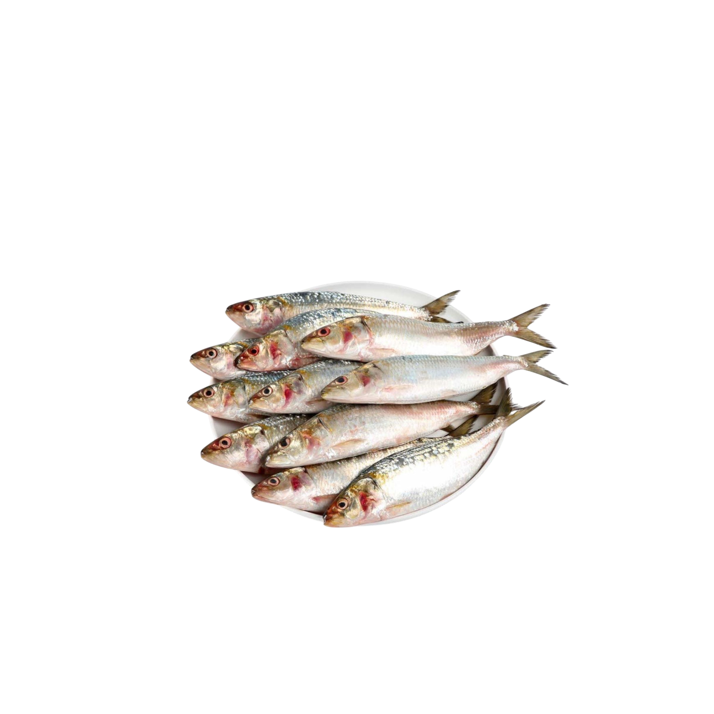 Fresh Sardine Fish, 500g