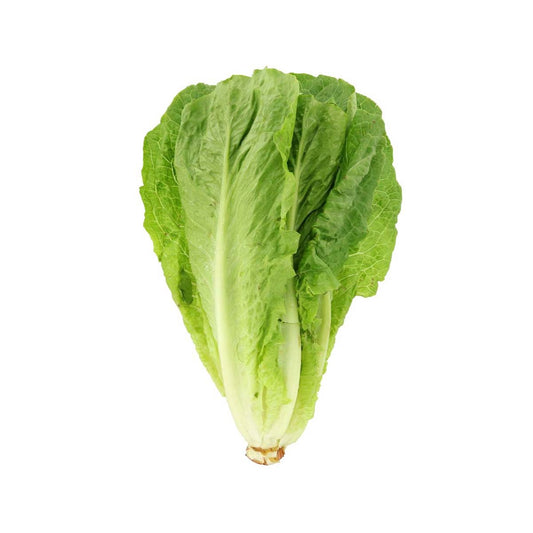 خس الأردن 1 كجم