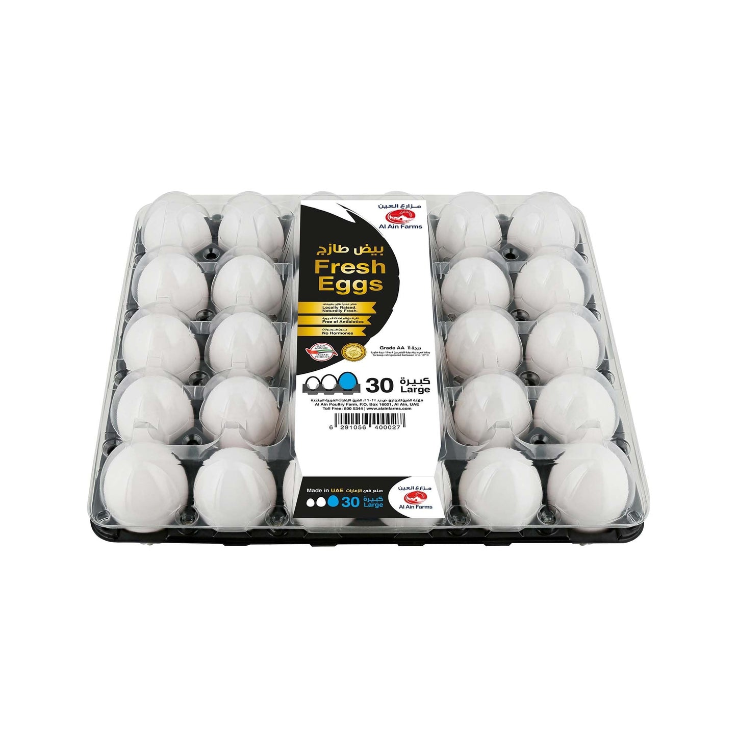 Al Ain White Eggs Large, 30 Pieces