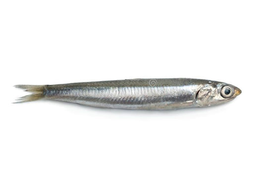 Anchovy Whole Fresh 1 Kg/Natholi