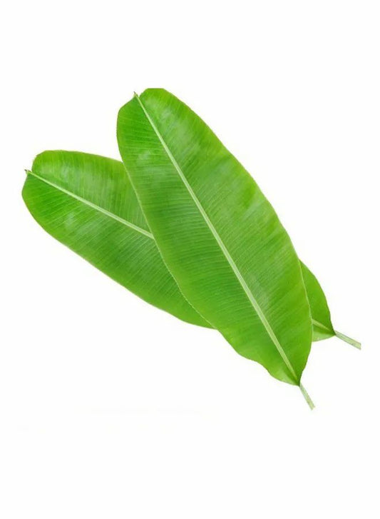 Banana Leaves India