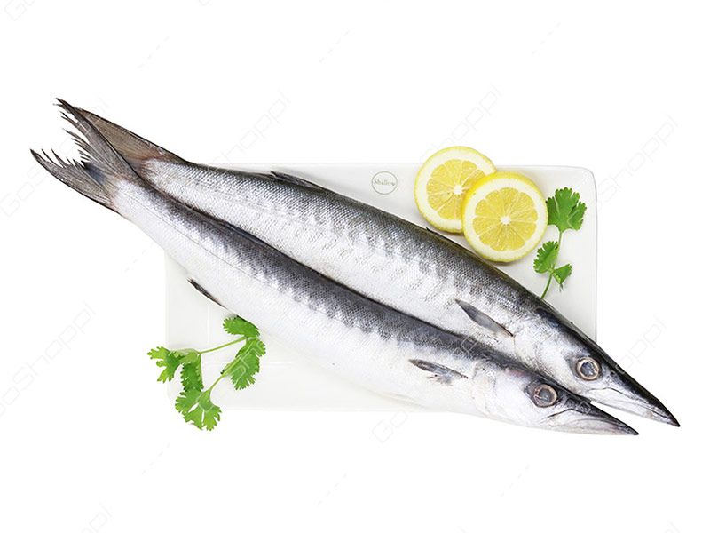 Barracuda UAE