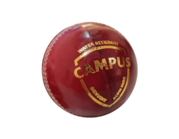 Sai Shalimar Cricket Ball, 1 Piece