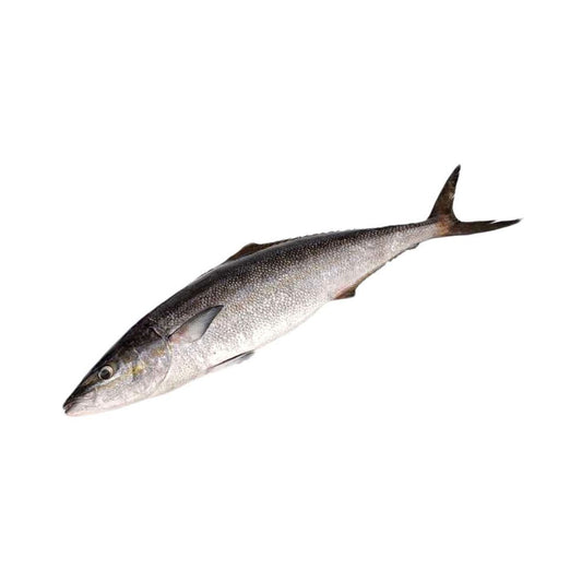 Blue Marine Milk Fish 1 Kg