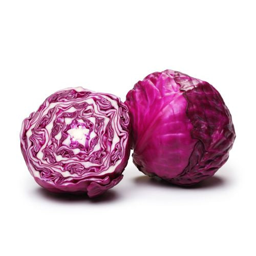 Cabbage Jorden Red 1kg
