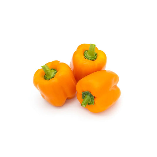 Capsicum Orange Holland 500g