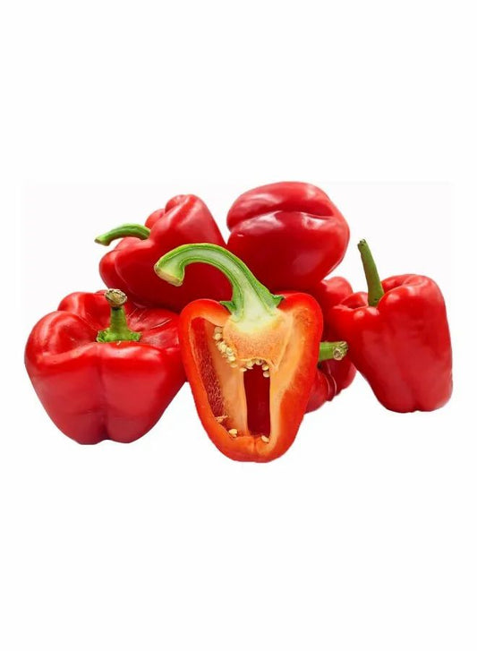 Capsicum Red Holland 500g