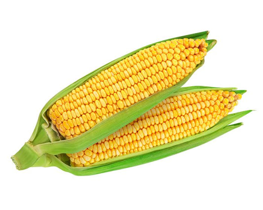 Corn 500g