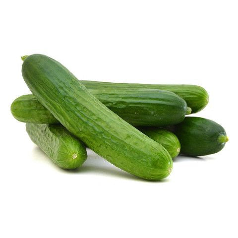 Cucumber UAE 1 Pack