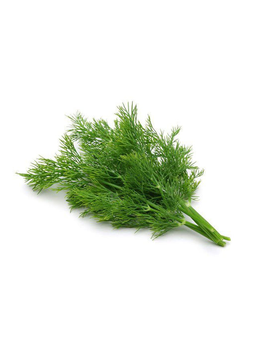 Dil Fresh Bunch