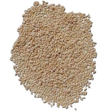 Fresh Food Harees Wheat, 500g