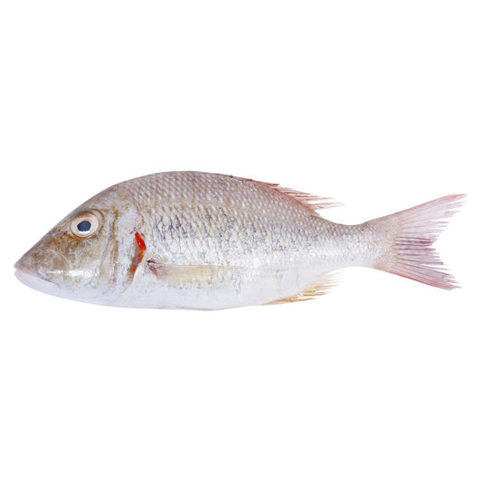 Fresh Sheri Fish, 1kg