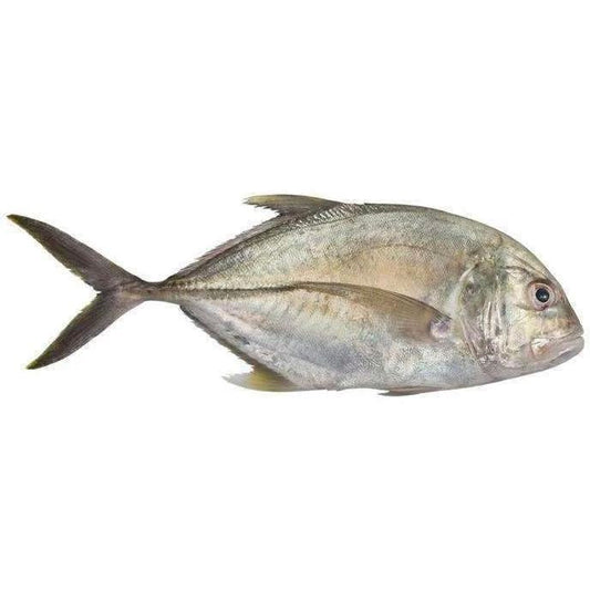 Fresh Jesh Fish, 500g