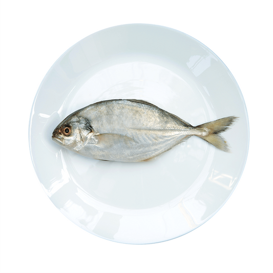 Fresh Jesh Fish Medium, 250g