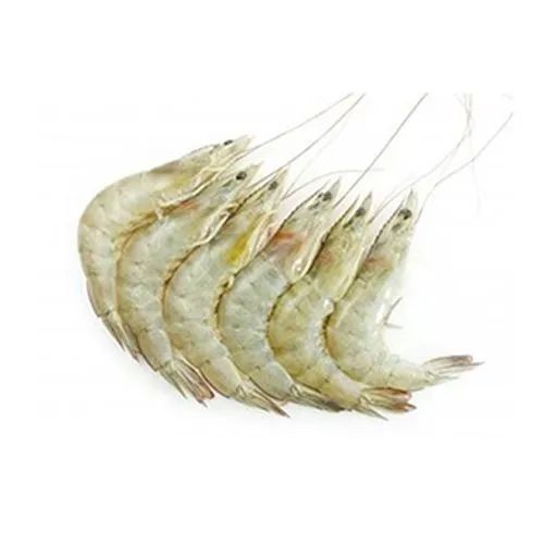 Fresh Prawns Medium 1kg