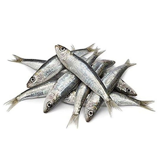 Fresh Sardine, 250g