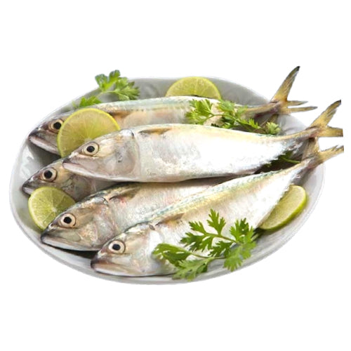 Fresh Small Mackerel 1kg