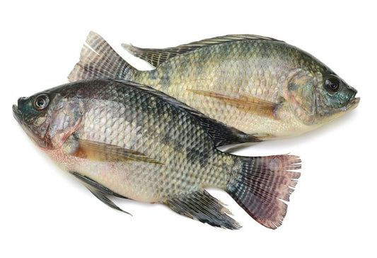 Fresh Tilapia 500G